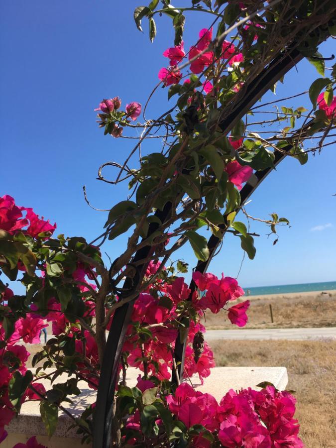 Beach flat with garden Castelldefels Exterior foto